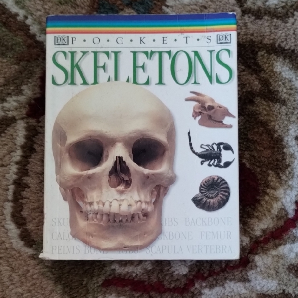 Skeletons Book